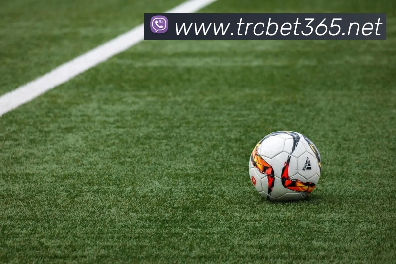 bet365中国官网发展历程